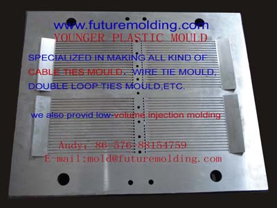 Double locking cable tie Mold
